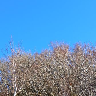 本当の青空を見て、わずかの登り返しがあるが気にならない。