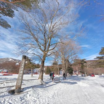 さぁ、いこう。