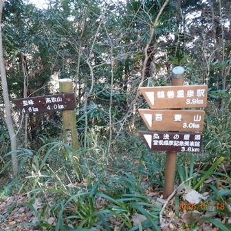 ハイキングコースは終わり高取山を目指します