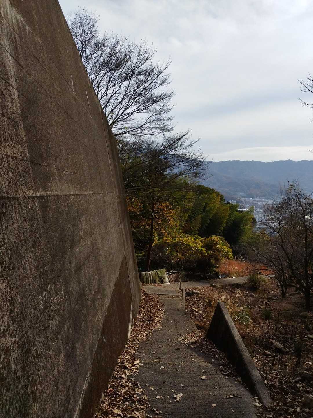 日ノ浦山登山口-日浦山 往復コースの写真