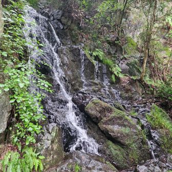 楼門の滝