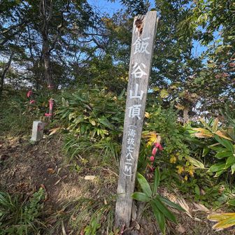 山頂は崩落してしまったので少し降りたところに山名標が建てられていました⛰️