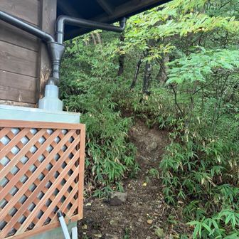 小屋の裏に登山道。見つけにくい。