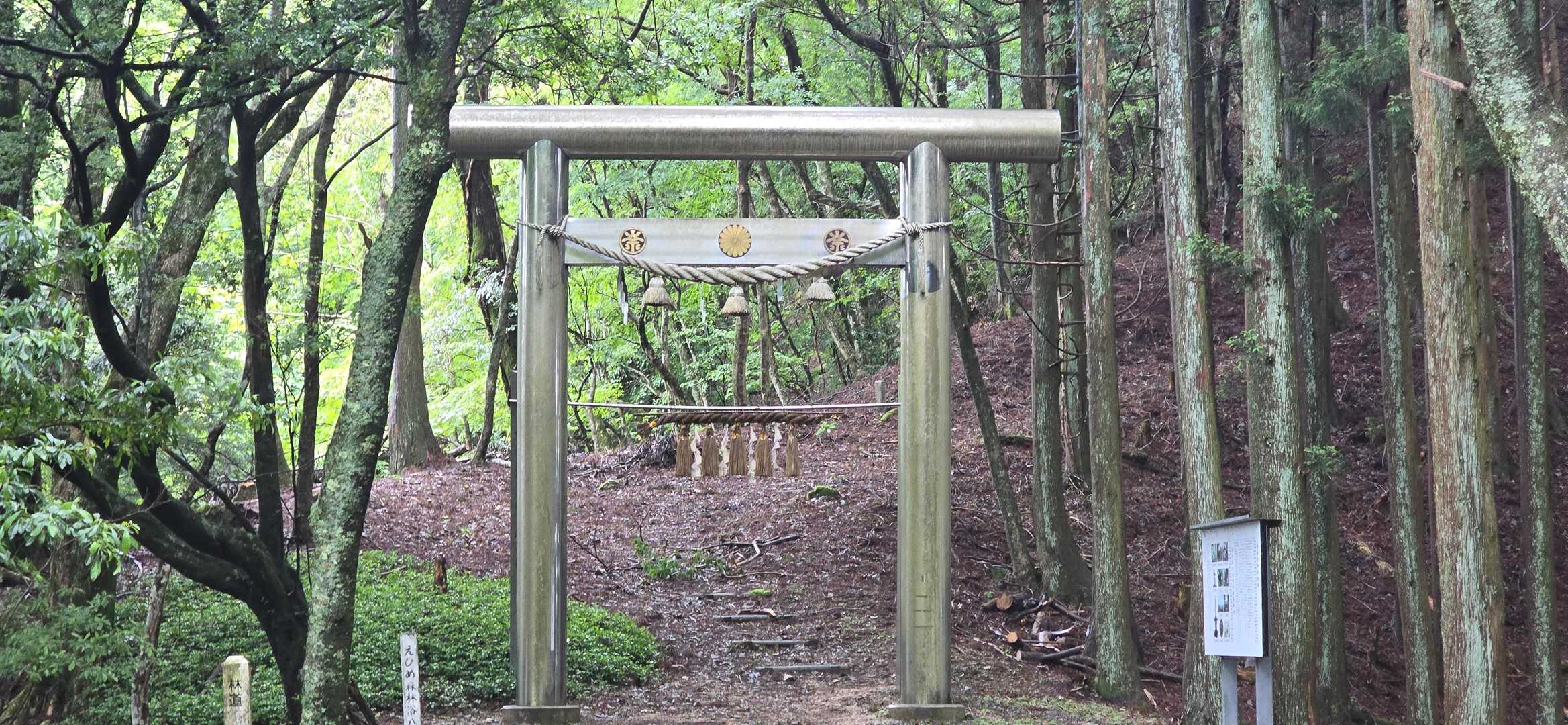 キラキラきれいな鳥居