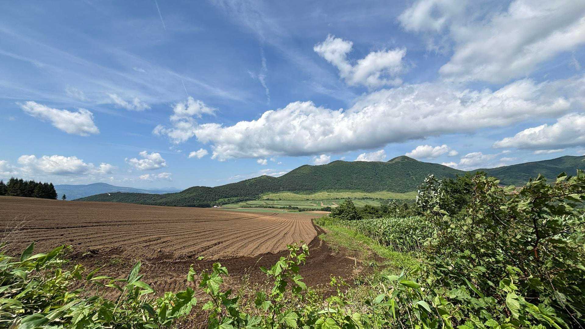 ほんと北海道みたい✨