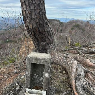 山頂の祠⛩️