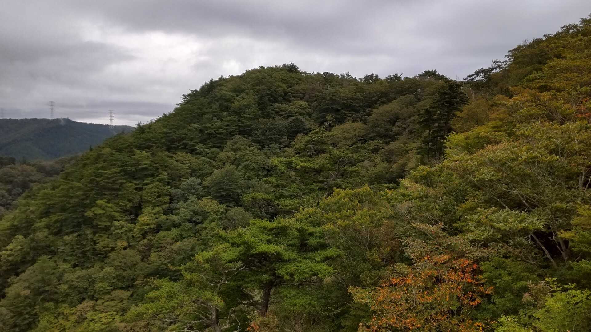 二ッ箭山の写真