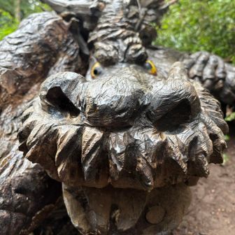 🐲アップ