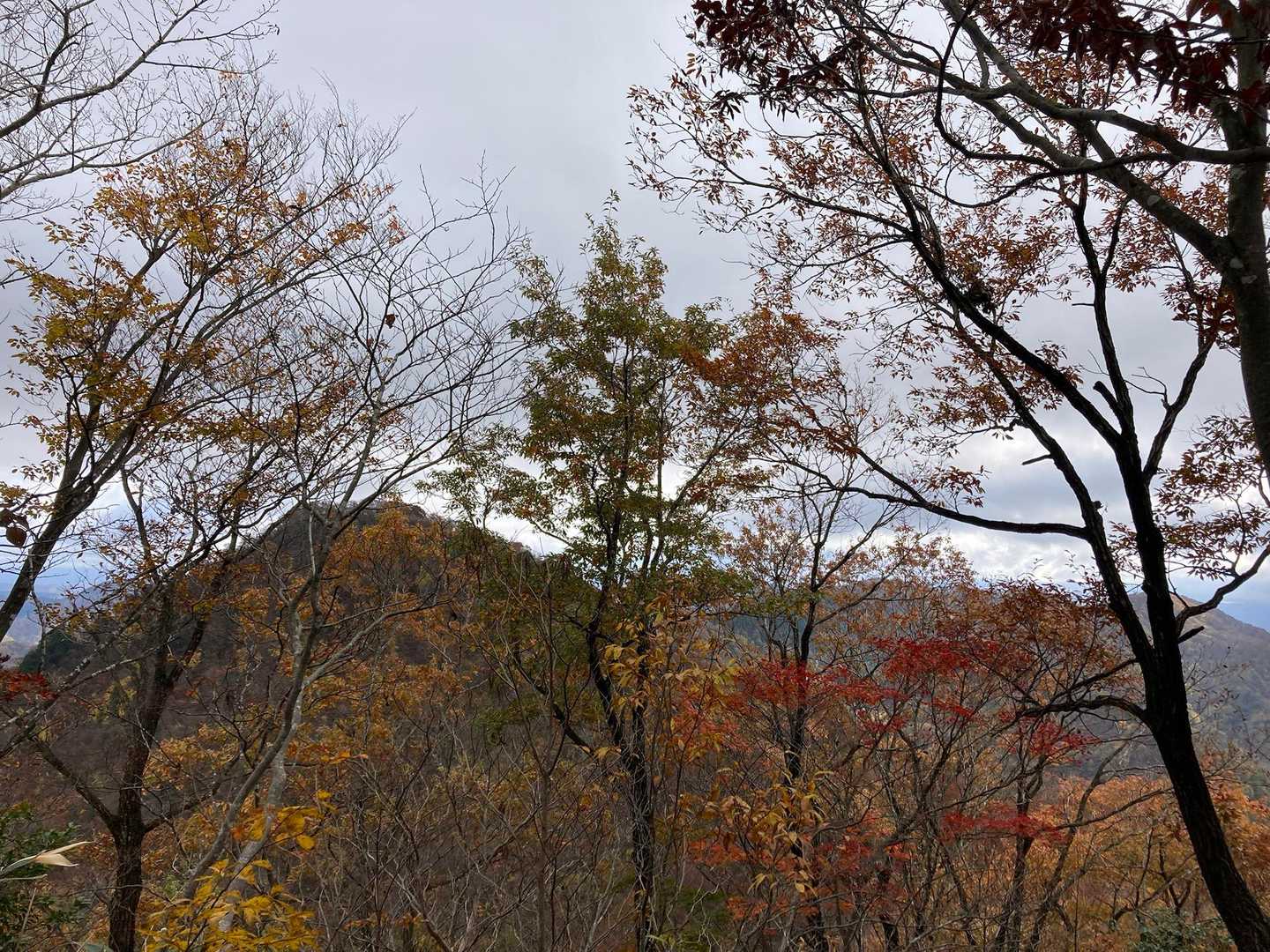 武衛山かな？とか
わからずに当てずっぽうに言う
