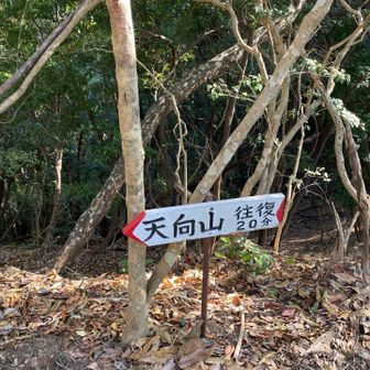 ちよっと行ってきます