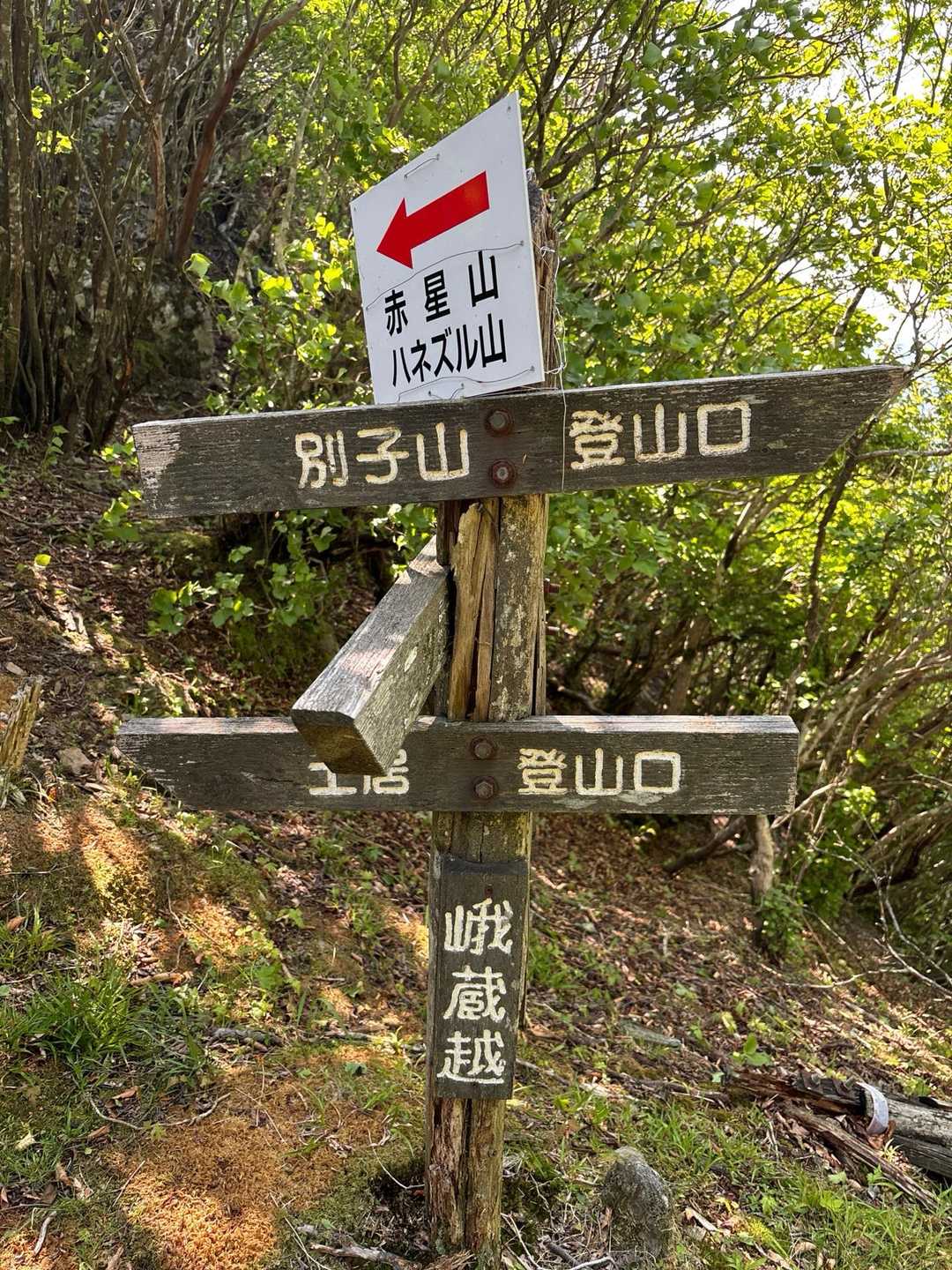 肉淵林道登山口-峨蔵越-二ッ岳 往復コースの写真