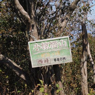 西峰（小椋栖山）880m