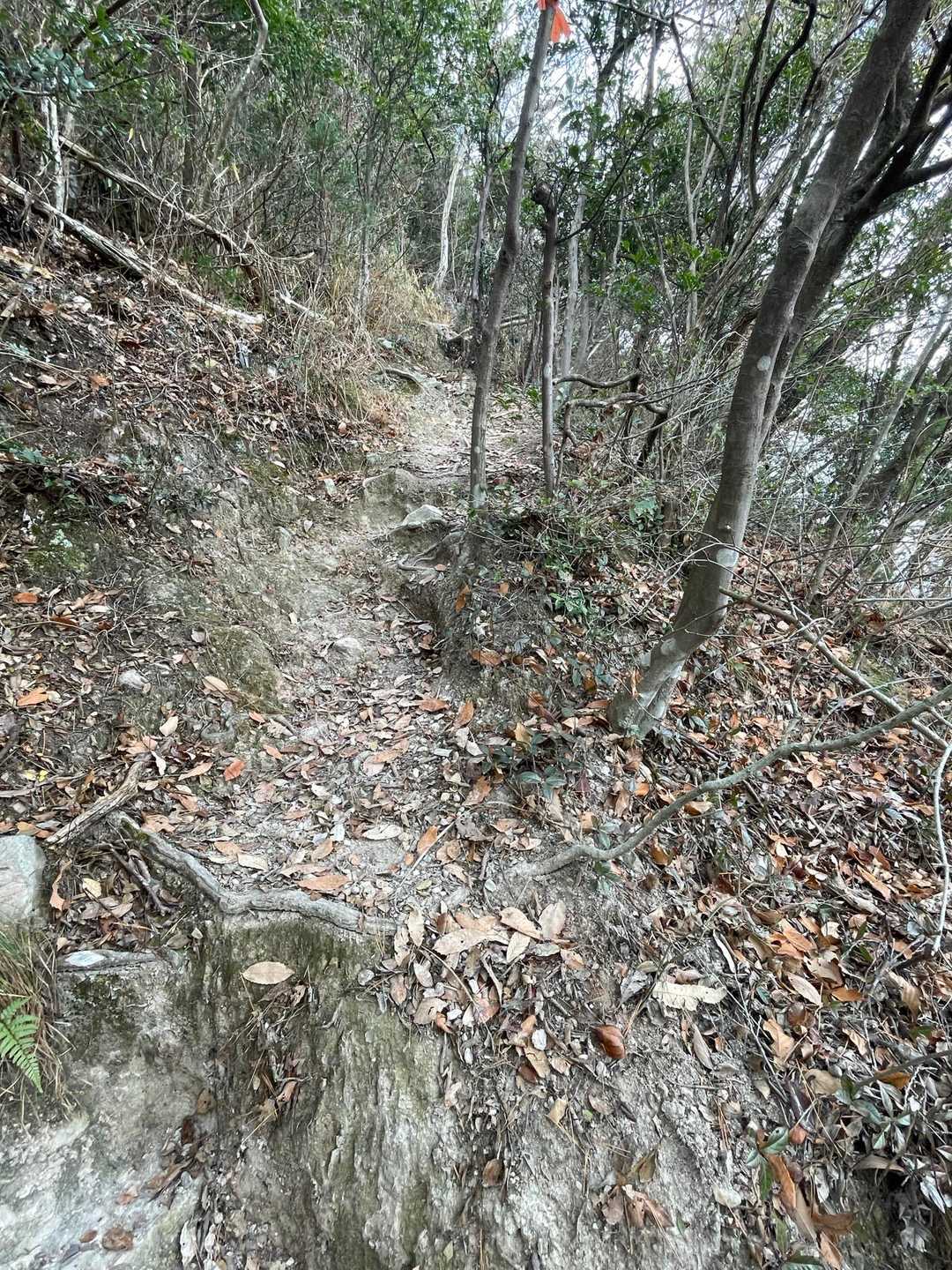 段差を越え