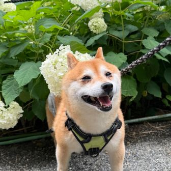きょう