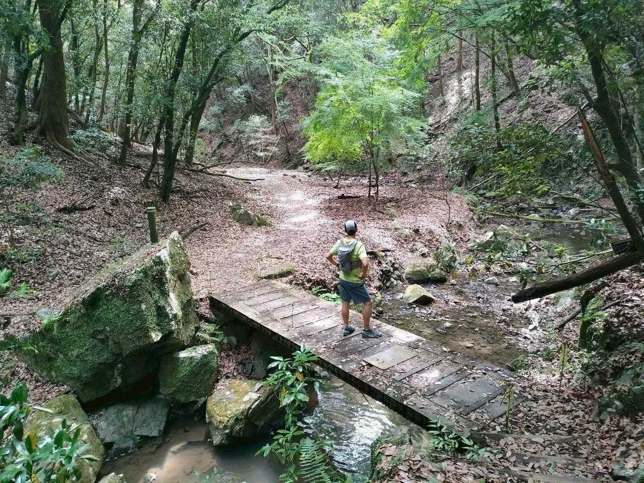 STM】山崎〜箕面 ロード多め / らいじんぐの登山データ | YAMAP / ヤマップ