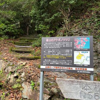 いざスタート