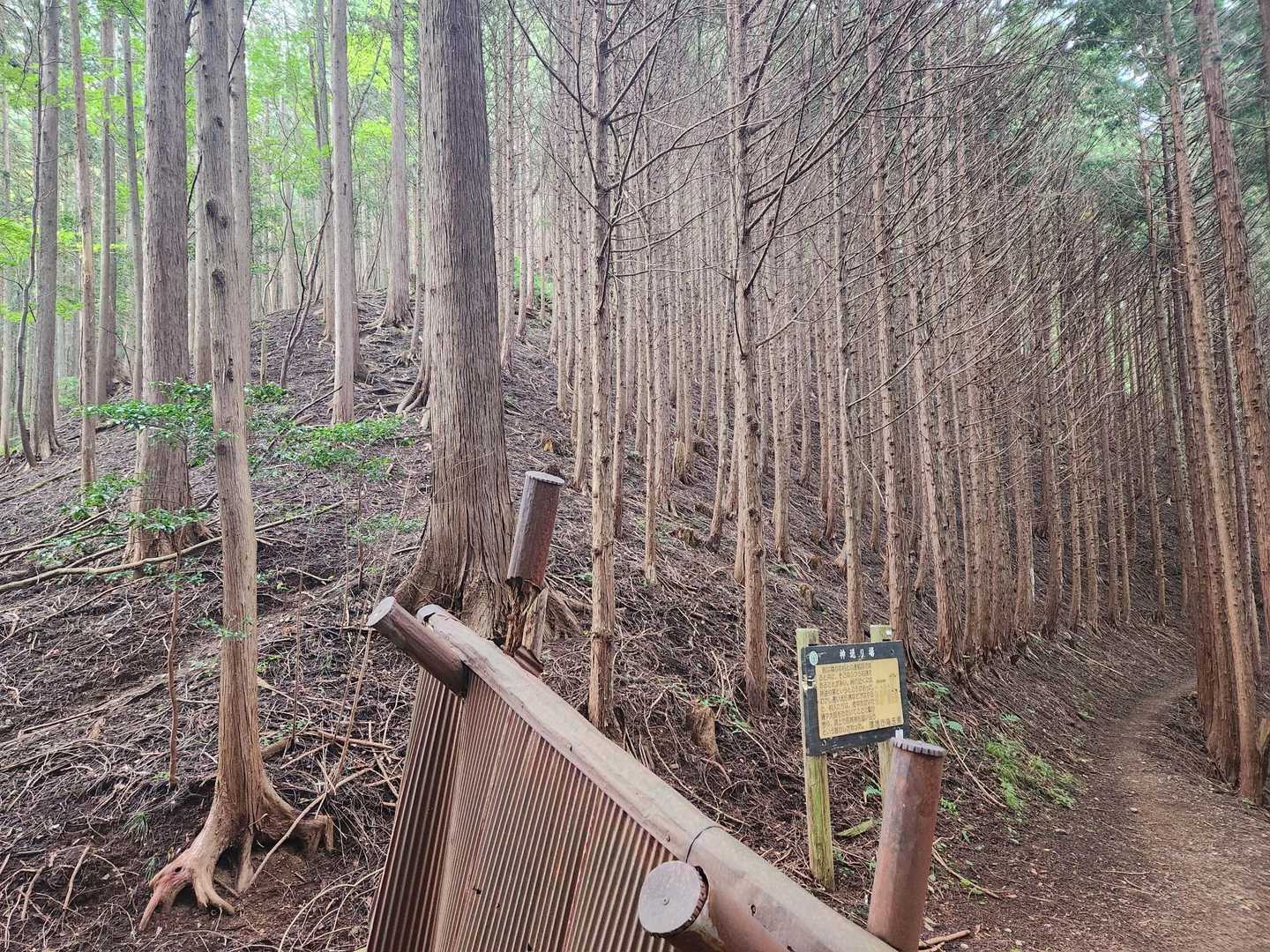 豆口山へ登るなら、ここ上を左へ。