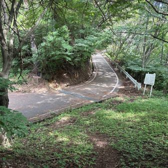権現山の向かって進むと、舗装路に一時的に合流。