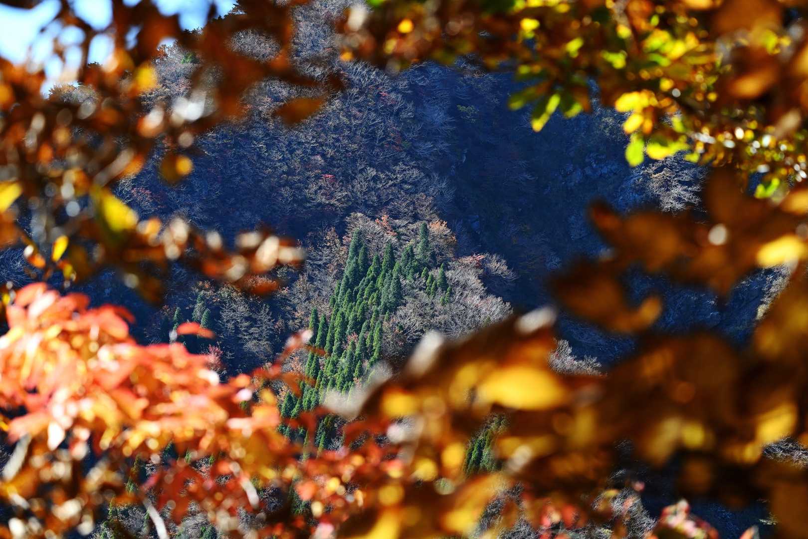 窓の向こうに