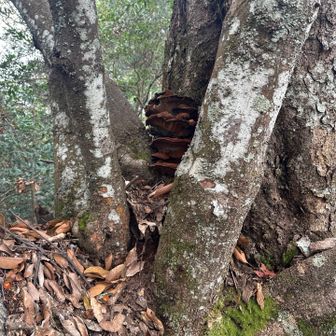 これは…なんすか？😅