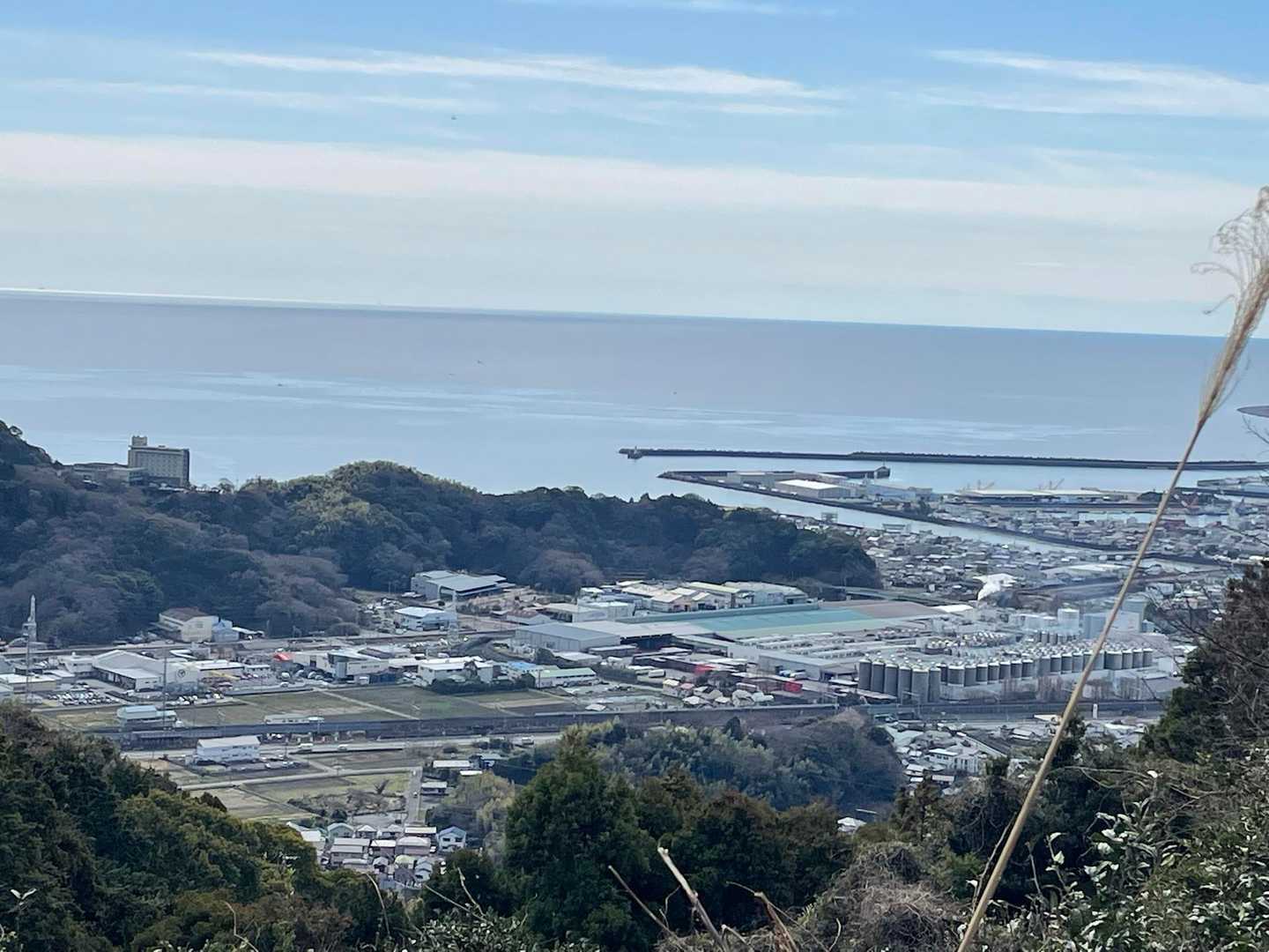 焼津港