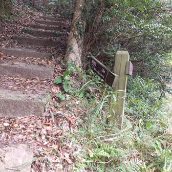 片浦登山口