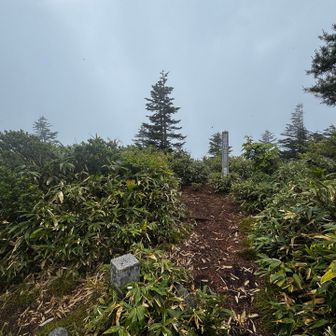 山頂🙌