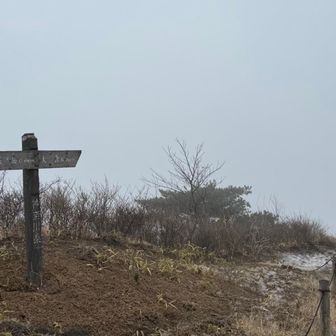 下山開始。
ここからの景色好きなんだけどな〜、ダメか😶