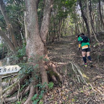一応最後まで頑張ります

終わった脚でスカイ1号は辛すぎるって(;´д｀)
