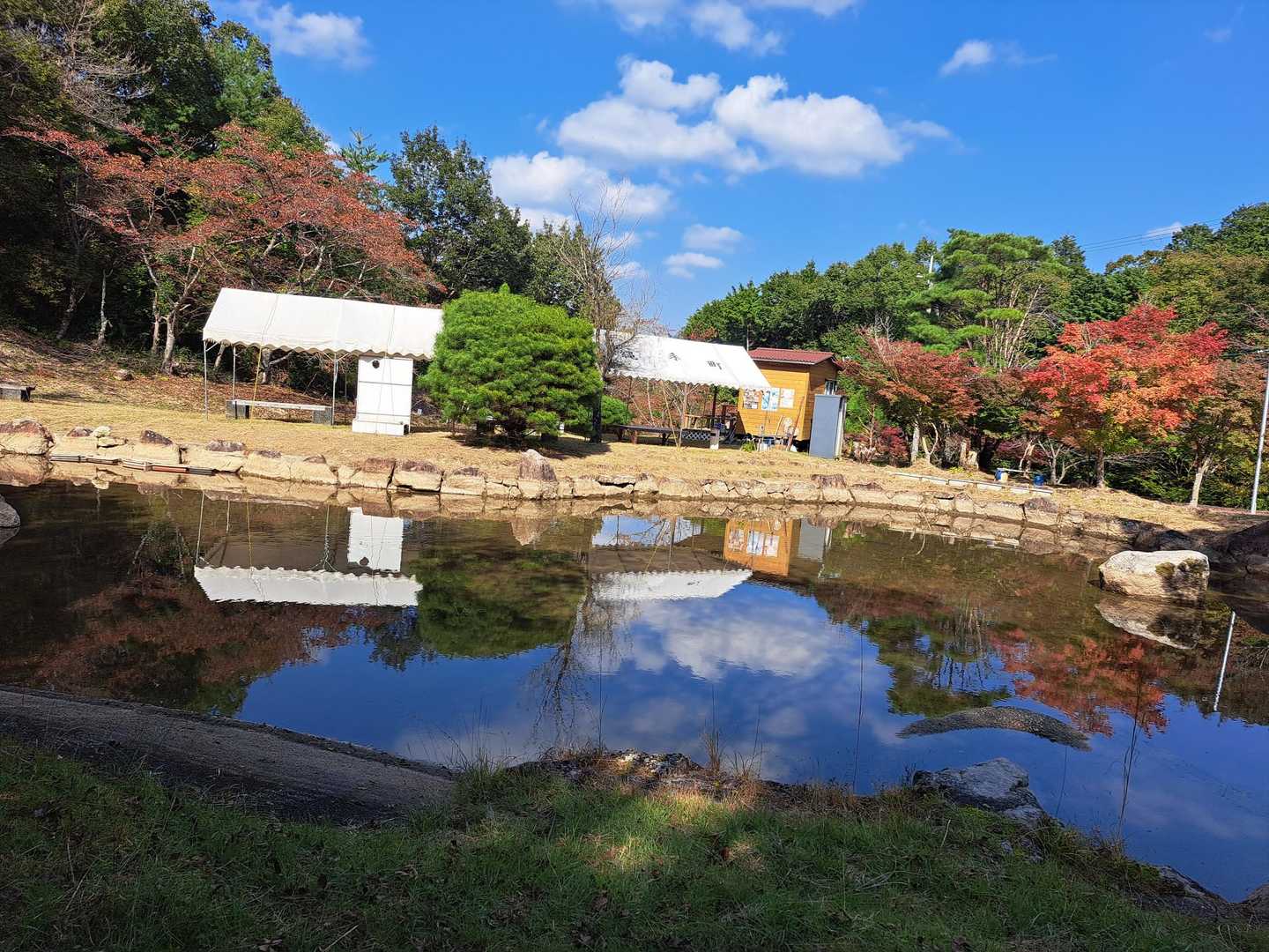 駐車場には一台も🚗ありませんでした😅　駐車場横の池　紅葉🍁はまだまだみたいですが少しすすんでいる🌳もありました。