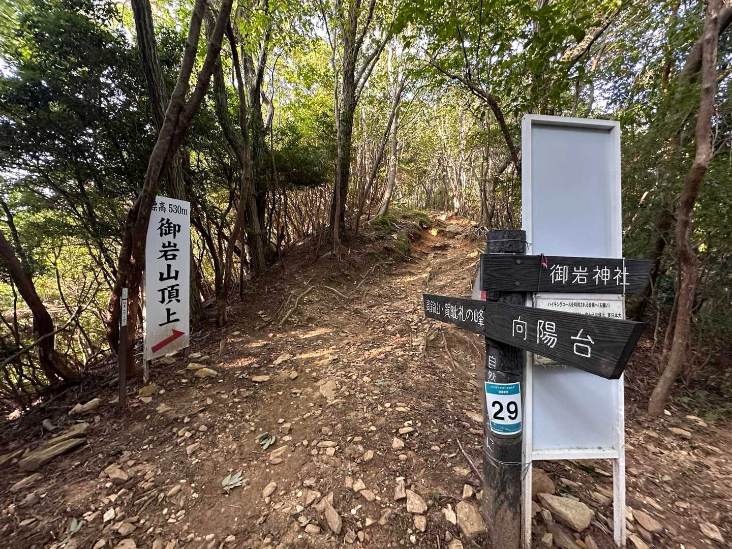 更に登って行きます⤴︎