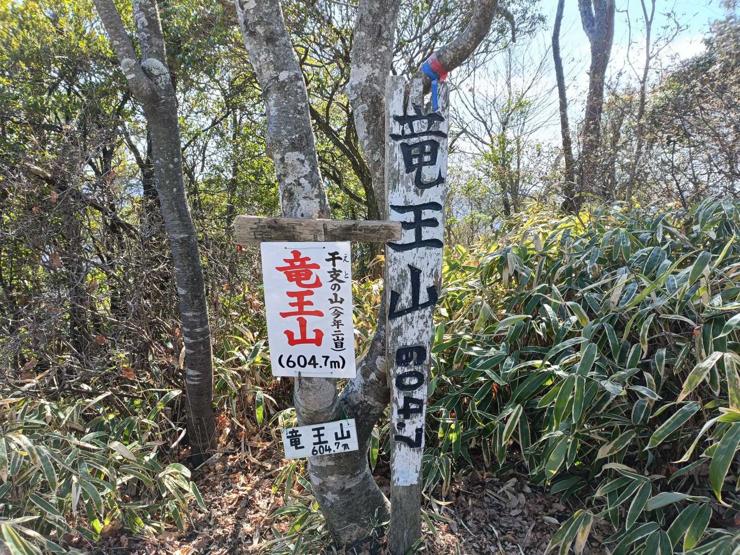 竜王山登頂