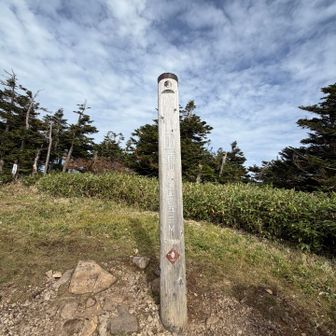 山頂！