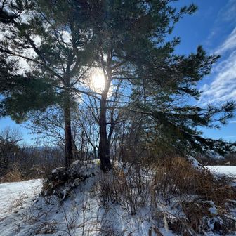 ここにあったキゴ山の看板がなくなってた😲