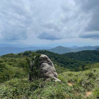 マゴチ岩