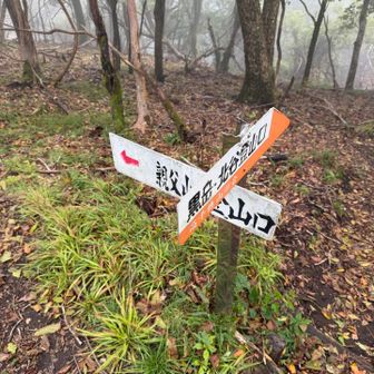 下りは直登ルートを逆から