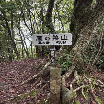 鷹の巣山登頂980m
山頂は眺望無し
山頂の少し下に開けた岩場が有りそこで昼食🥪☕️にしました
ガスも少し取れ遠くが見渡せるまでになって良かったー