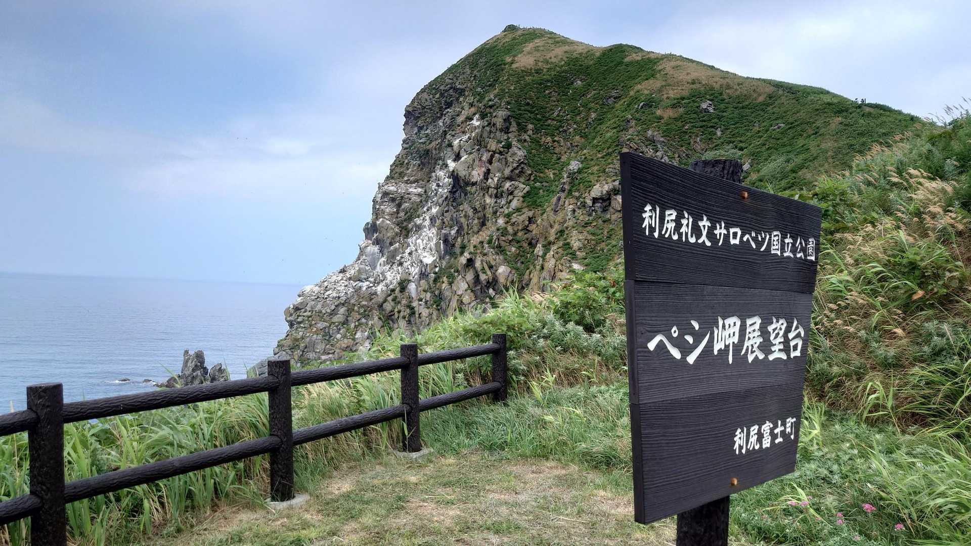 展望台からペシ岬を見る