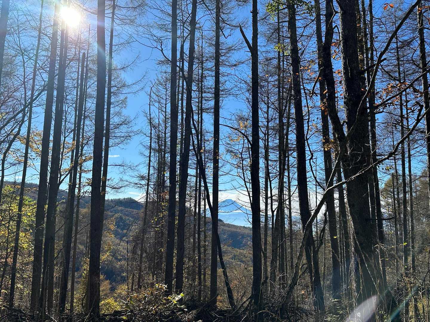 チラッと🗻