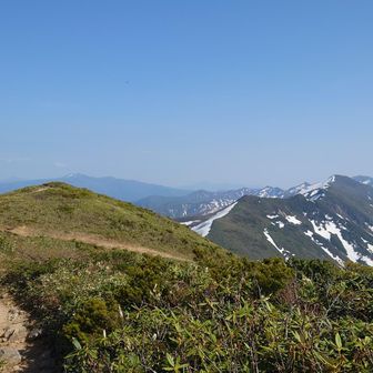 前巻機の山頂部