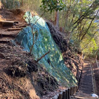 険しくないのでアッサリ下山