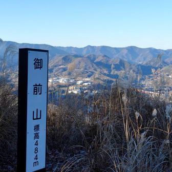 ここもきれいだった！
でも、登山道が最後にして一番ハードでした。

鶴島御前山（つるしまごぜんやま）
鶴島御前山は山梨県上野原市の標高約484mの山で、中央本線・上野原駅の南側に位置します。地元では単に「御前山」とも呼ばれますが、区別のため「鶴島」の地名を冠します。『甲斐国志』には頂上の平坦地を「日向屋敷」と記し、小俣日向守という人物の居館跡と伝えられていますが、遺構は明確でないとされます。周辺には「御前山」と名の付く他の山もあり、烽火台や見張り台として使われた可能性が指摘されています。