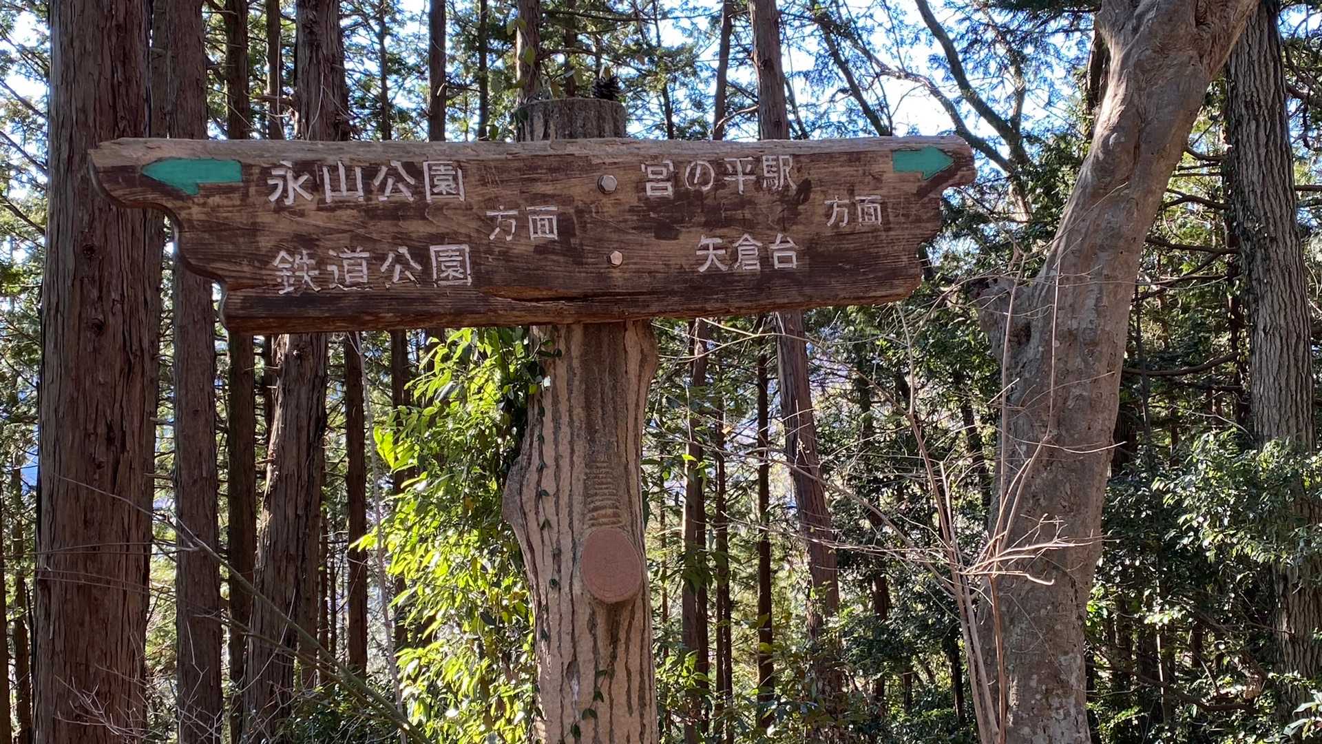 矢倉台へ
