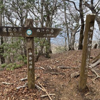 畦ヶ丸3回目⛰️
最初は夏、2回目は冬