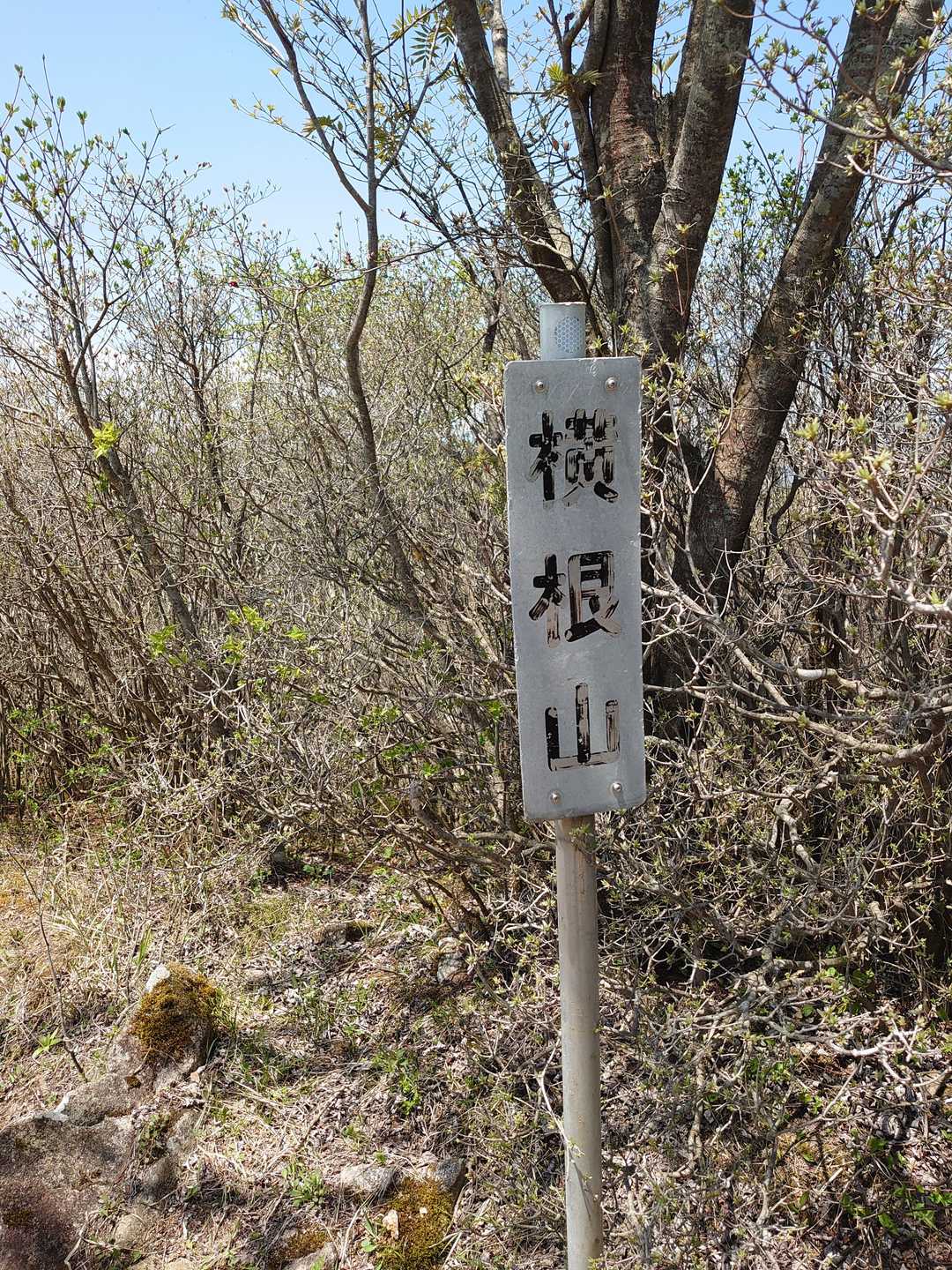 歩いて10分の山頂～♪ヽ(･ˇ∀ˇ･ゞ)
昨日の水沢山での階段攻撃で、足がパンパンロボット🤖状態でしたが、鍛えないと…
♪～(´ε｀ )