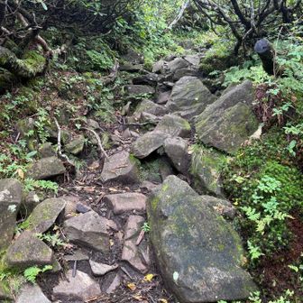 剣ヶ峰山への登り返し💦
ゴロ石多く、しかも急登😨
カナリ、キツいのだ🙁