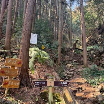 10分間の急登🧗‍♀️