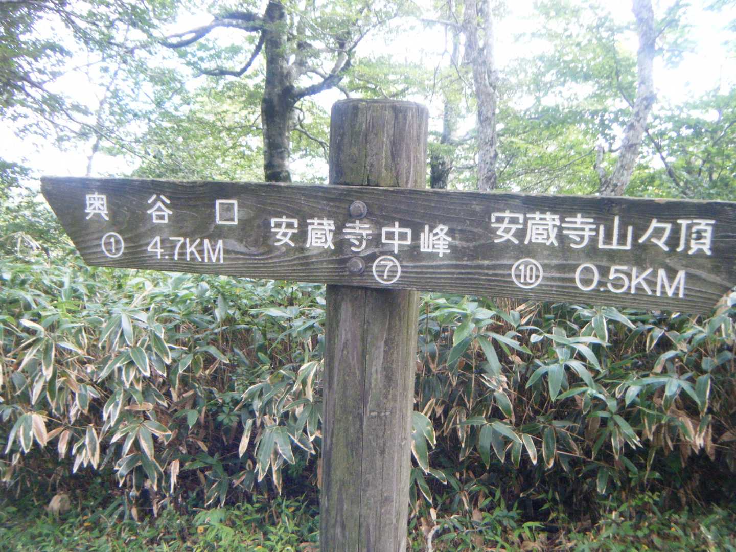 安蔵寺中峰(Ｐ１２５０)