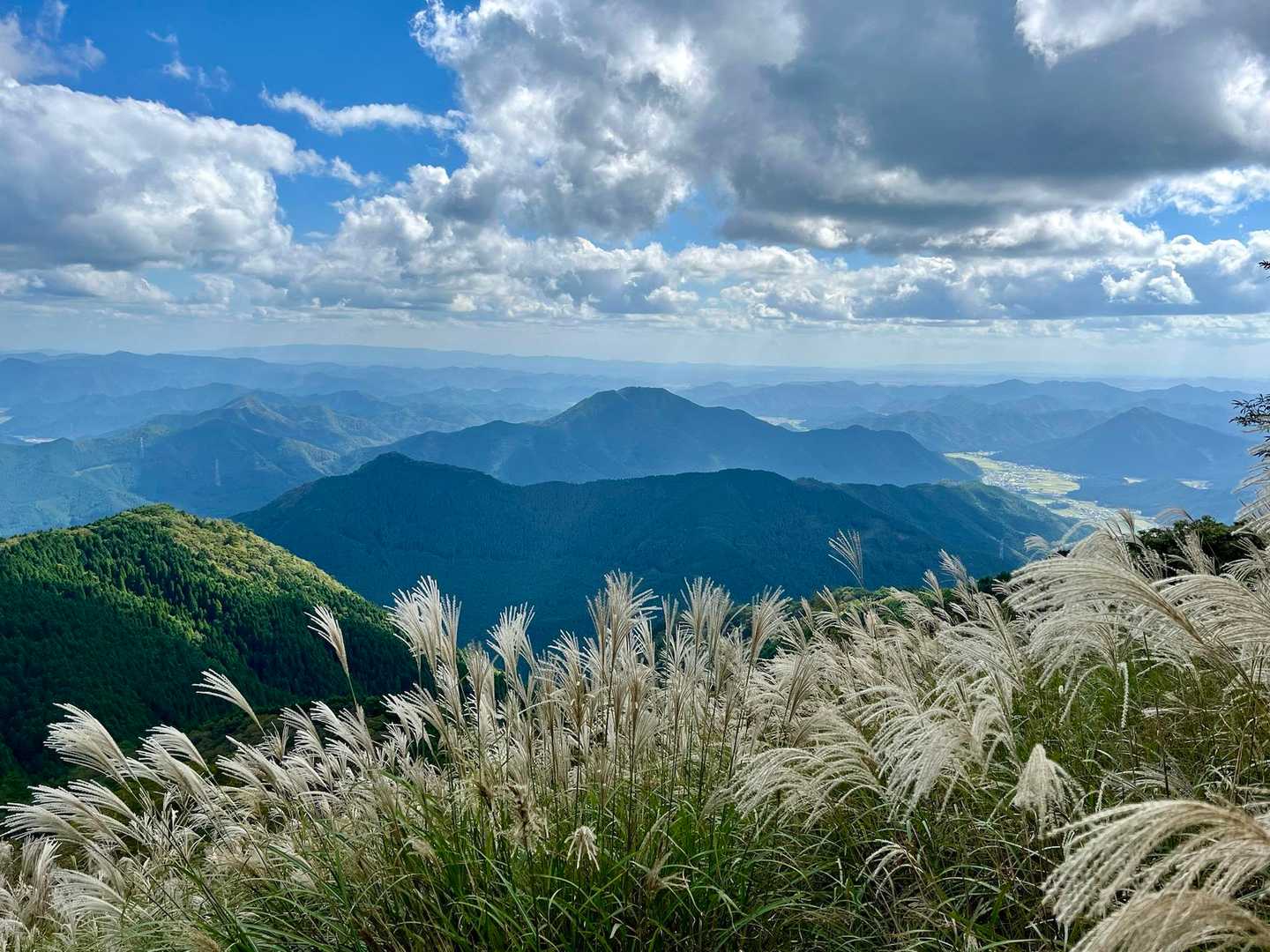 市原峠-千ヶ峰 往復コースの写真