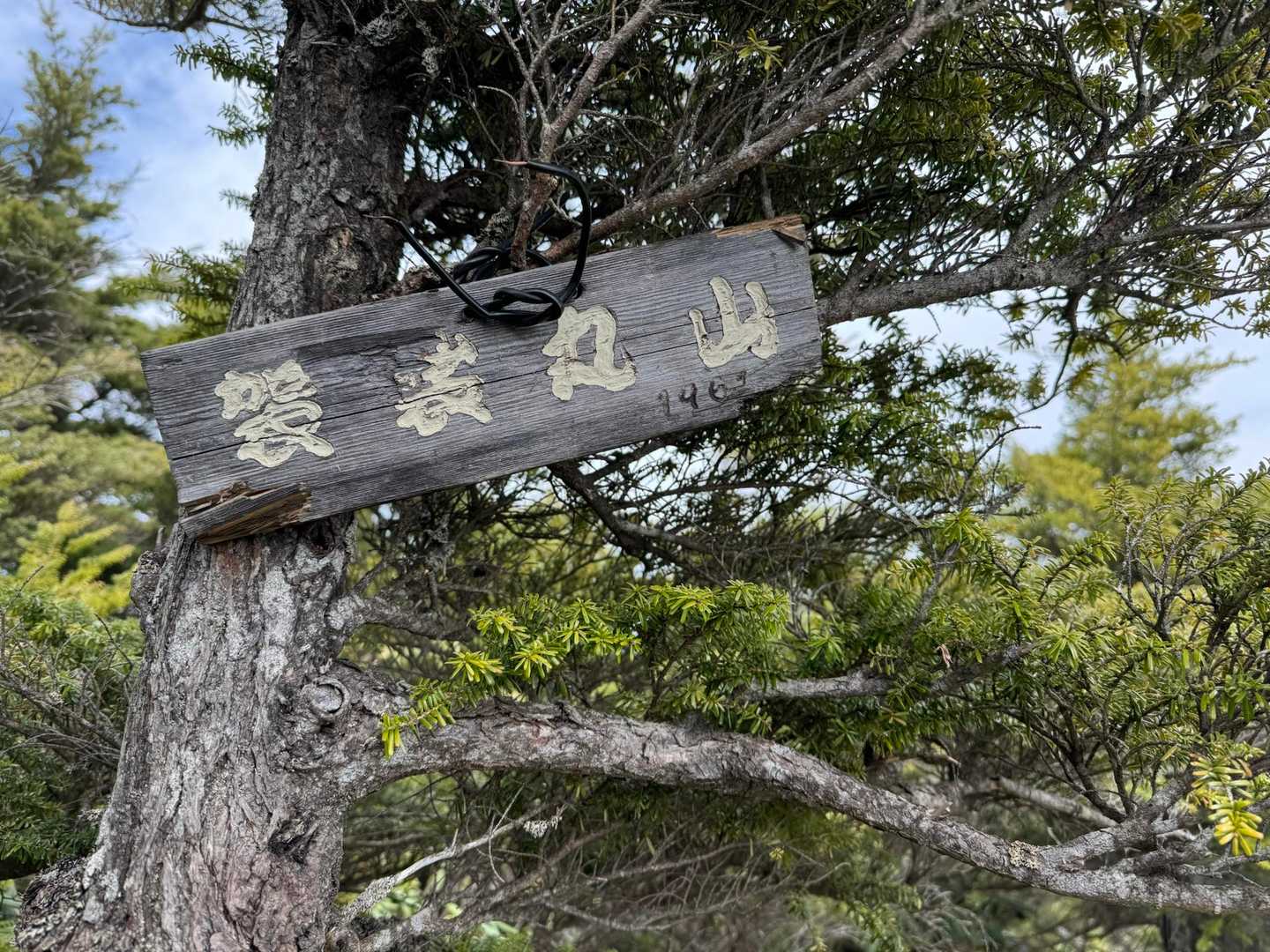 着いたよ！奥袈裟丸山🏊🏻‍♀️

ここも猫の額ほどの山頂で
眺望無しですが、いいのです😤
ここに来れたことが目標達成なのだから。

この先は皇海山まで続くようです。
行かないけど。行けるわけないけど🙄